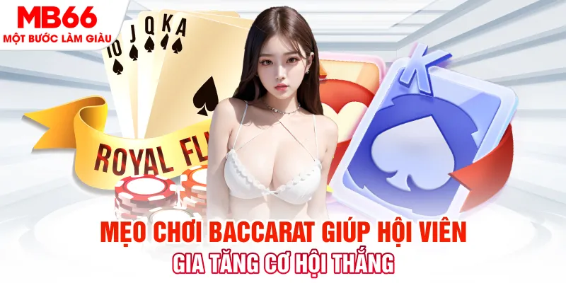 i8bet đá gà 88