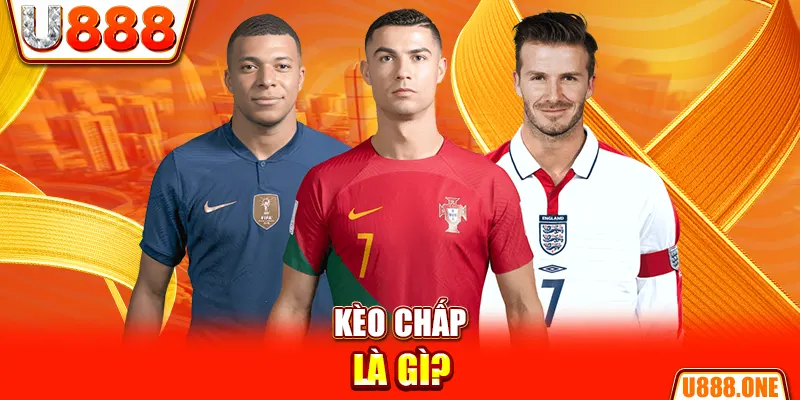 i8bet chổi lông gà
