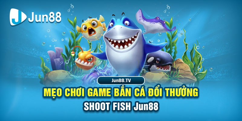 i8bet tai game danh bai bigkool ve may tinh