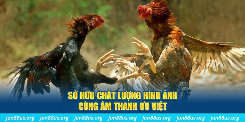 i8bet tai game danh bai ve may tinh
