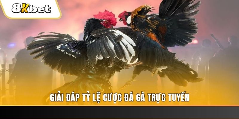 i8bet xổ số ba đài