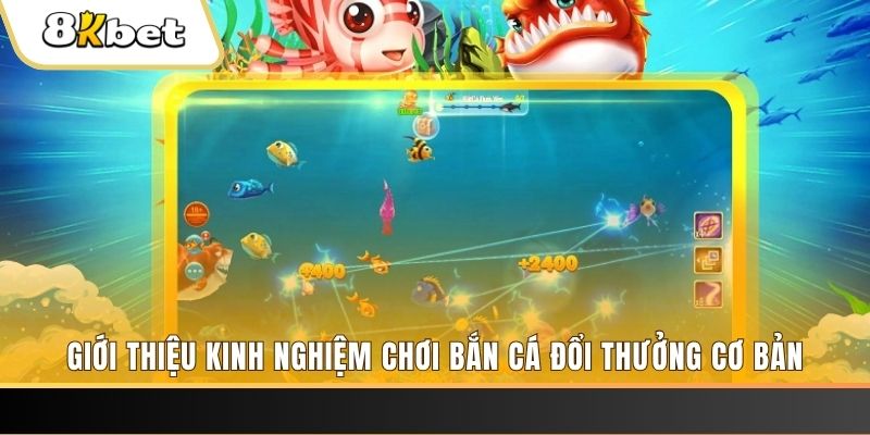 i8bet 8 bí ẩn chơi nổ hũ ít ai biết