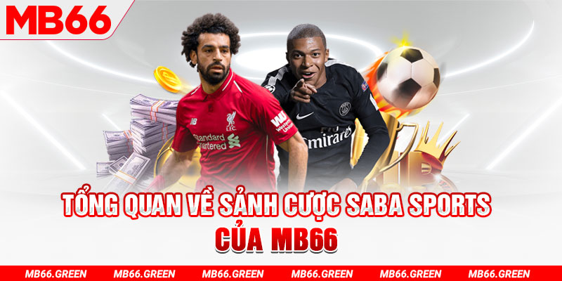 slot có nghĩa là gì