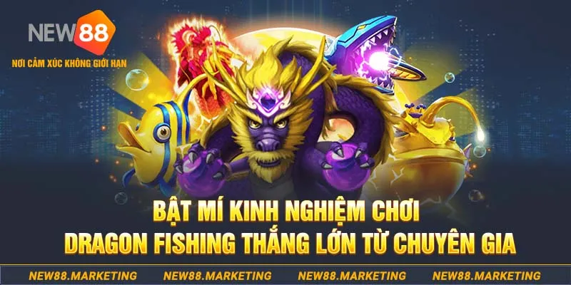 i8bet who wants to be a millionaire slot